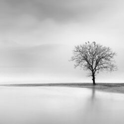Silence
